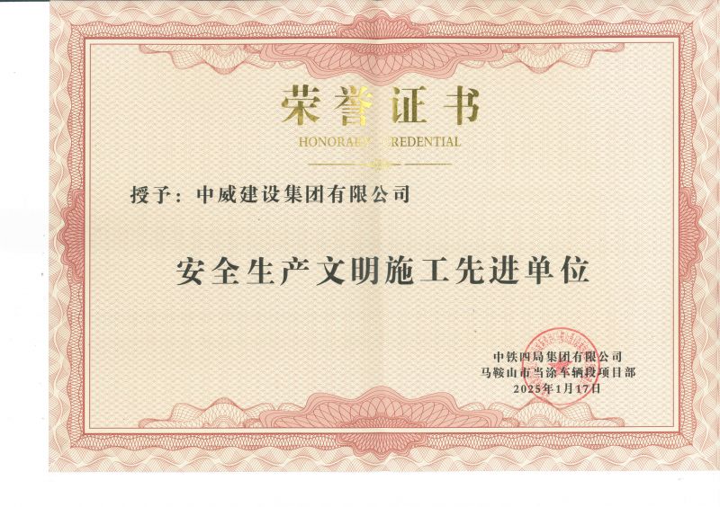 项目荣誉
